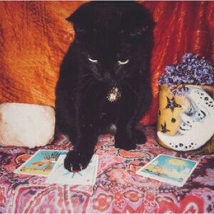 Meet your Posher, Ares